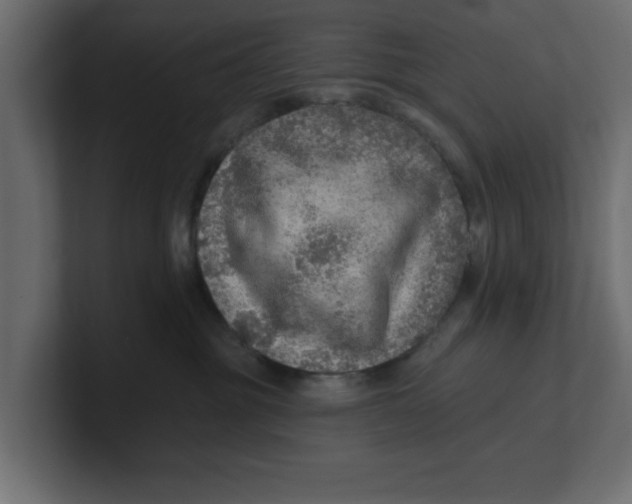 X0000100360381200806271429