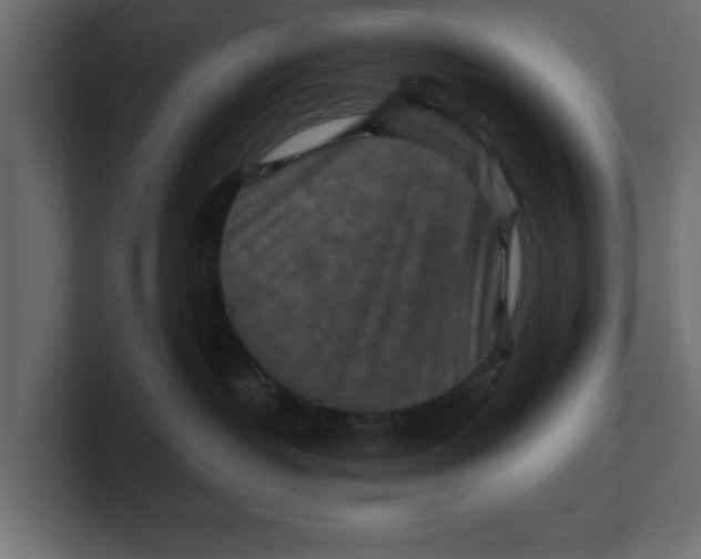 X0000100360382200806271429