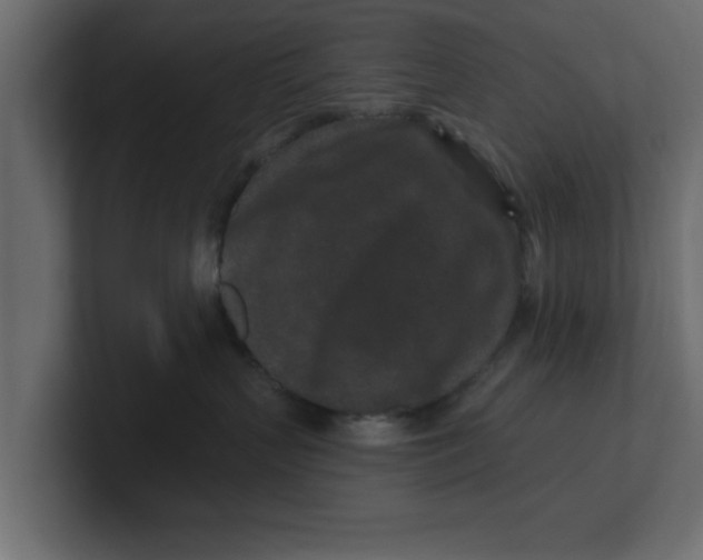 X0000100360383200806271429