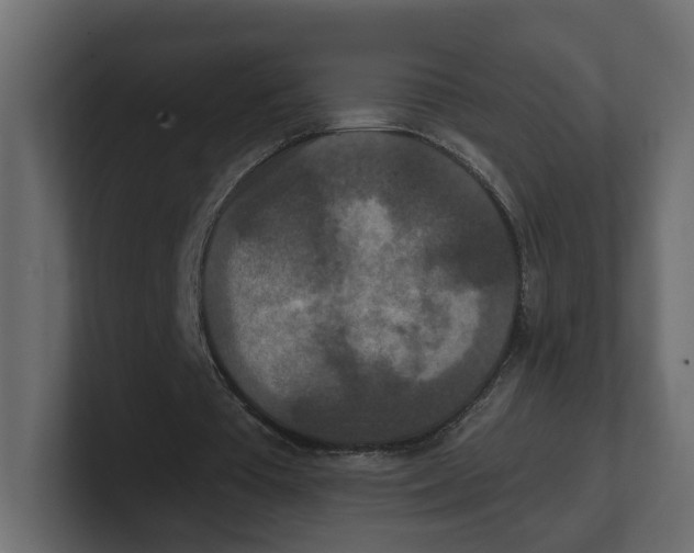 X0000100360385200806271428