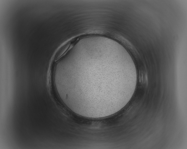 X0000100360388200806271428