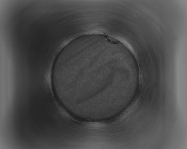 X0000100360389200806271428