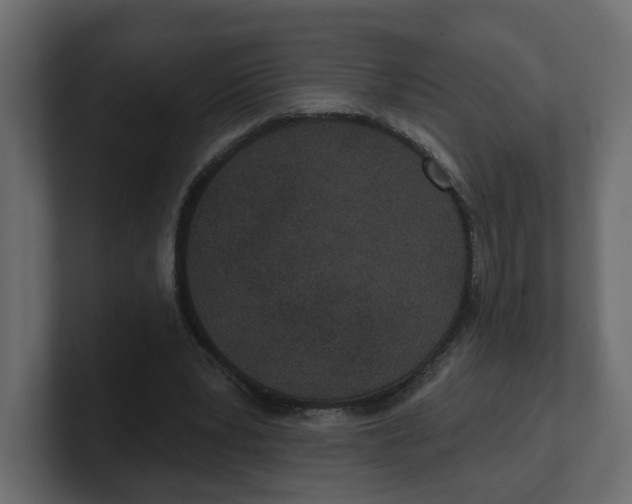 X0000100360391200806271428