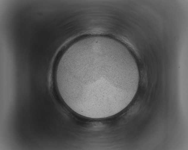 X0000100360392200806271428