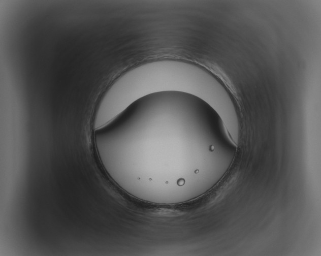 X0000100360393200806271428