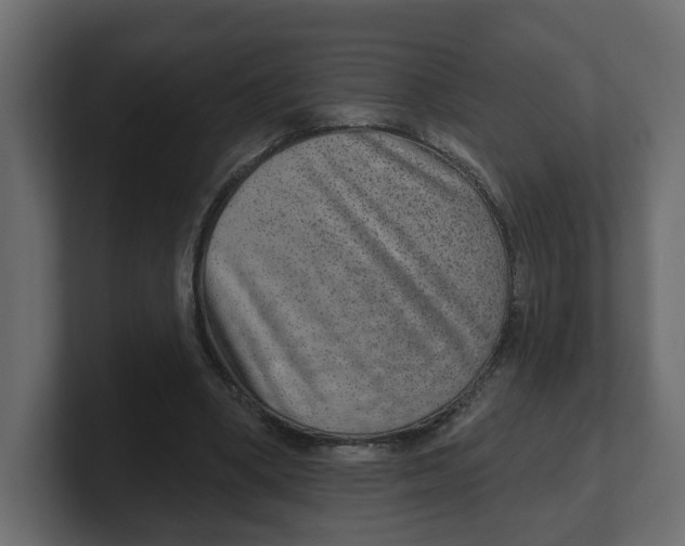 X0000100360394200806271428