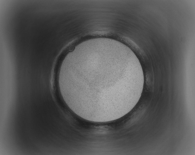 X0000100360396200806271428