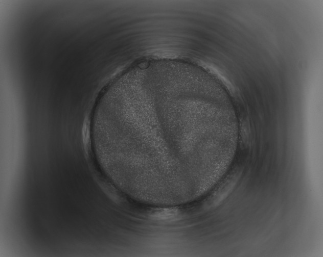 X0000100360398200806271428