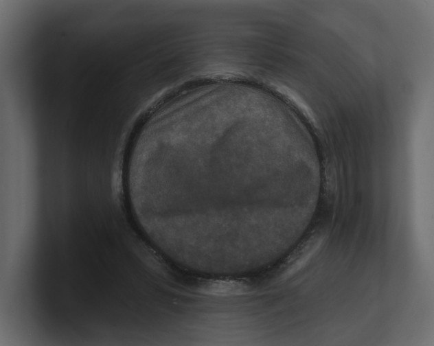 X0000100360399200806271428