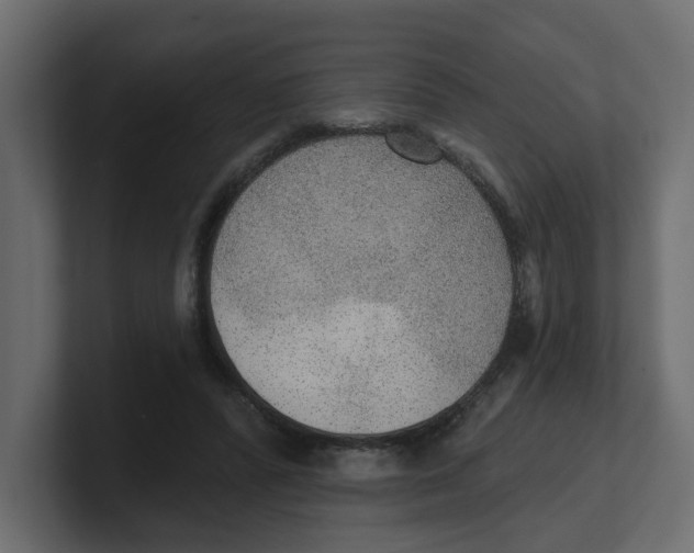 X0000100360400200806271428