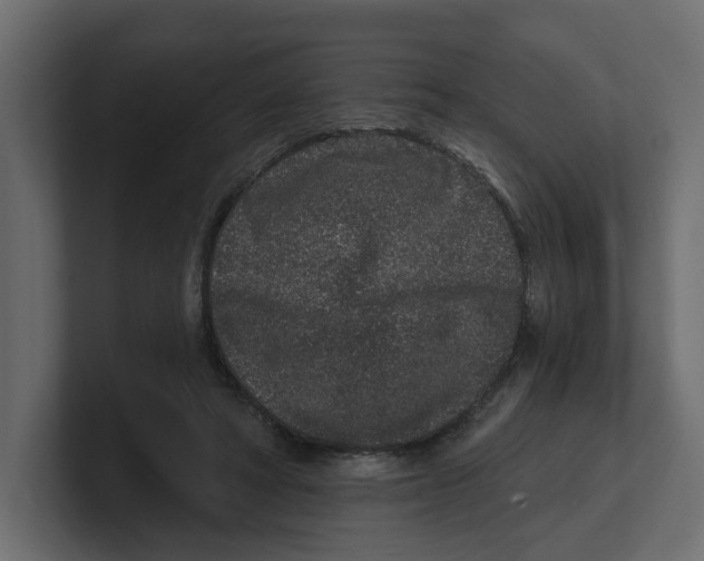 X0000100360402200806271428