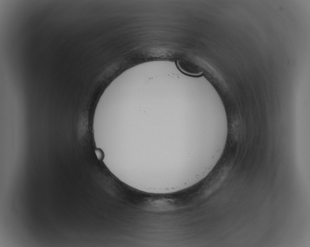 X0000100360407200806271428