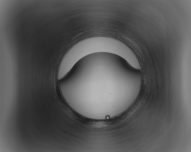 X0000100360409200806271428