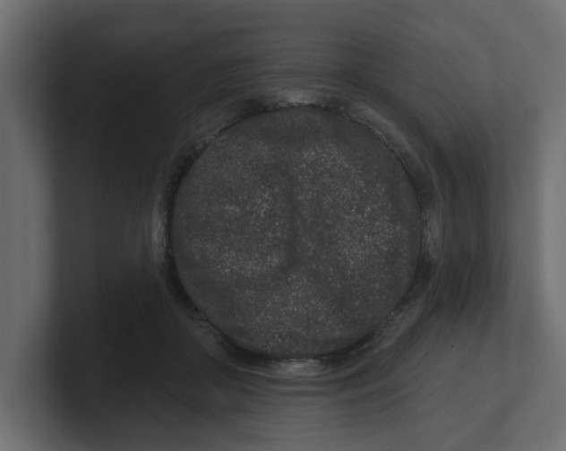 X0000100360410200806271428