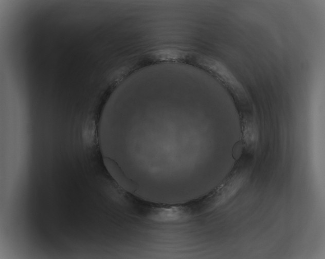 X0000100360411200806271428