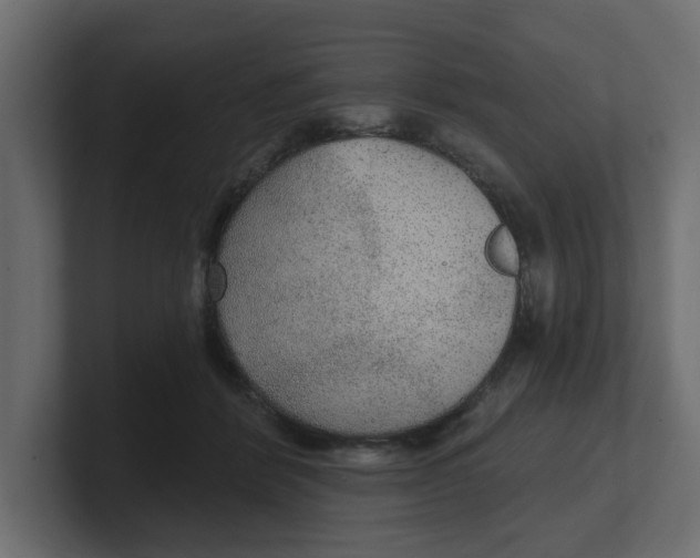 X0000100360412200806271427