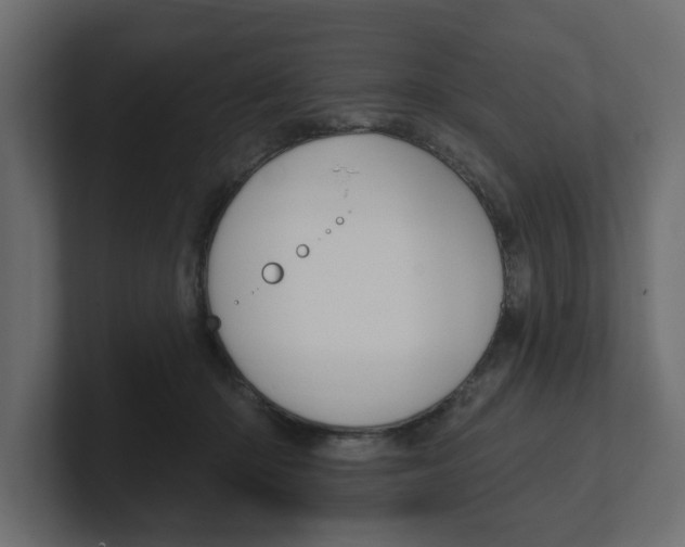 X0000100360414200806271427