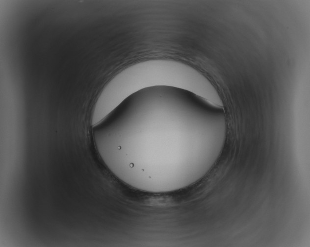 X0000100360415200806271427