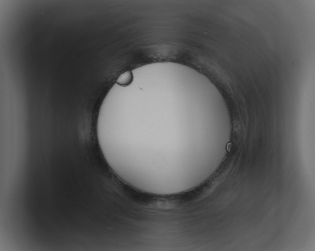 X0000100360416200806271427