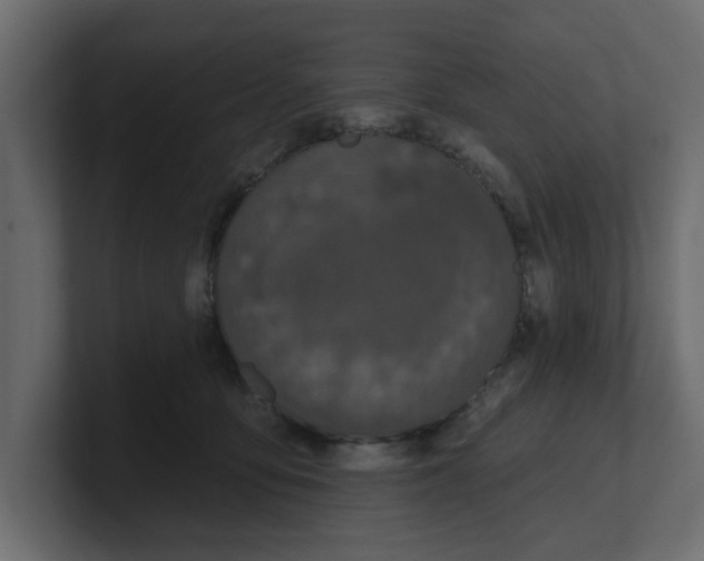 X0000100360419200806271427