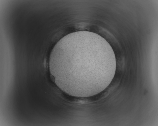 X0000100360420200806271427