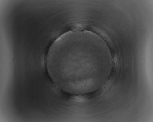 X0000100360423200806271427