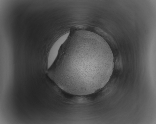 X0000100360424200806271427