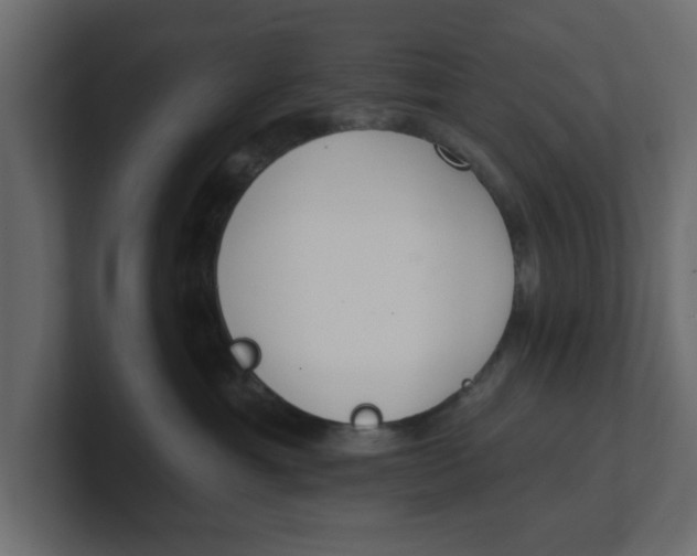 X0000100360429200806271427