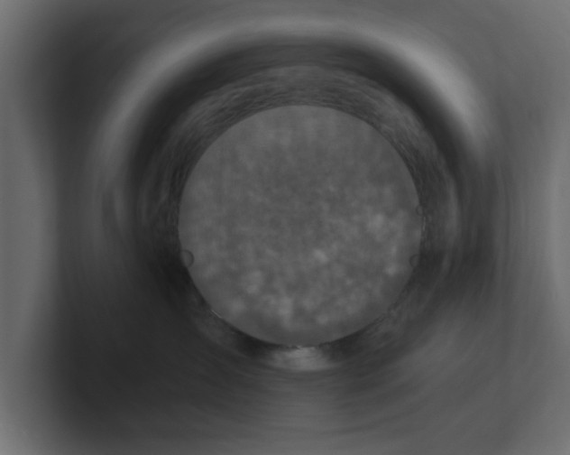 X0000100360431200806271427