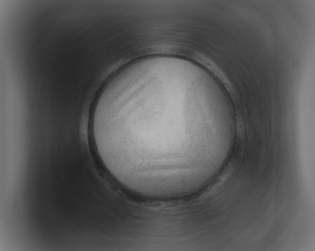 X0000100360434200806271427