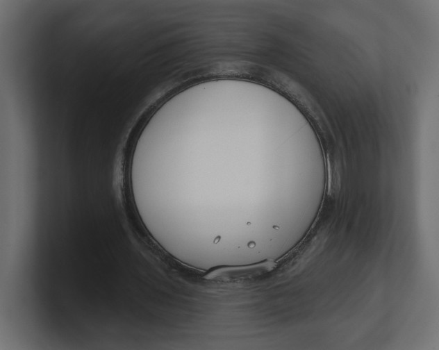 X0000100360435200806271427