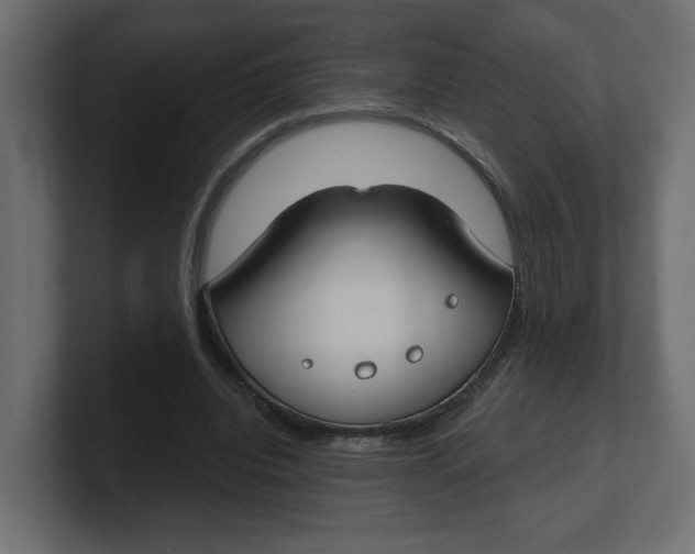 X0000100360440200806271427