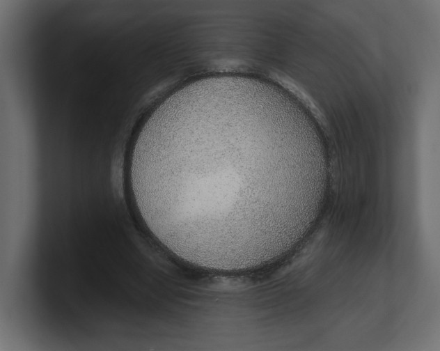 X0000100360442200806271427