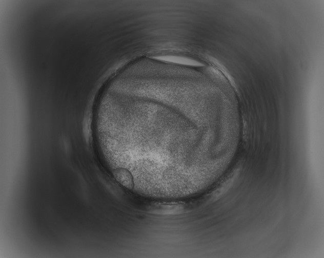 X0000100360443200806271427