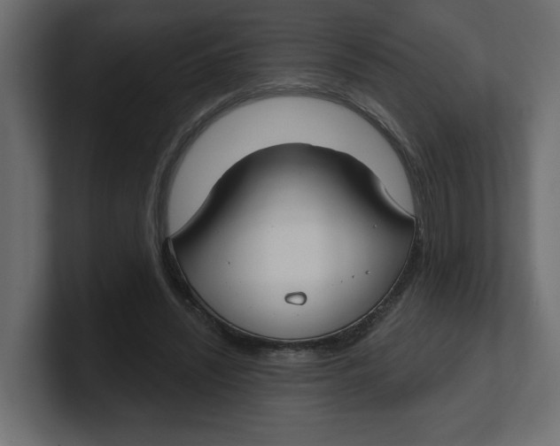 X0000100360444200806271427