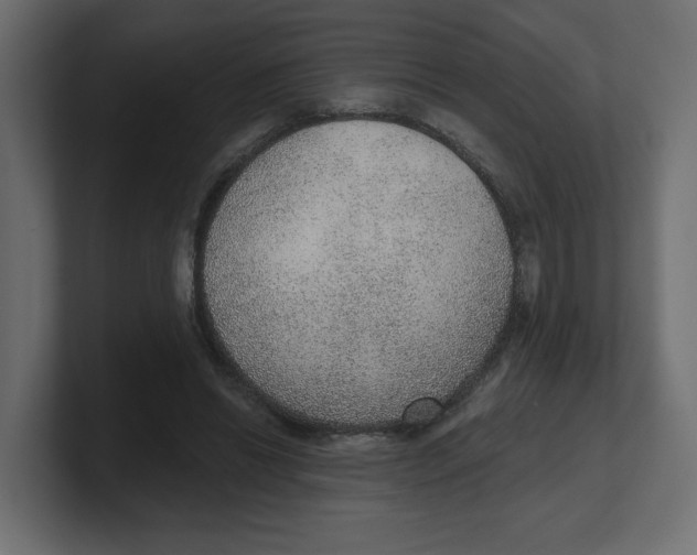 X0000100360446200806271427