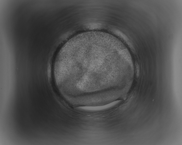 X0000100360447200806271427