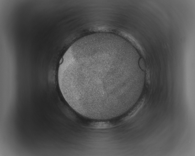 X0000100360449200806271427