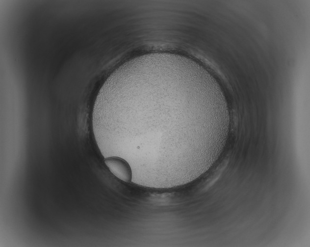 X0000100360450200806271427