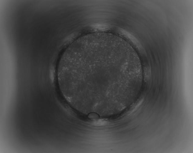 X0000100360451200806271427