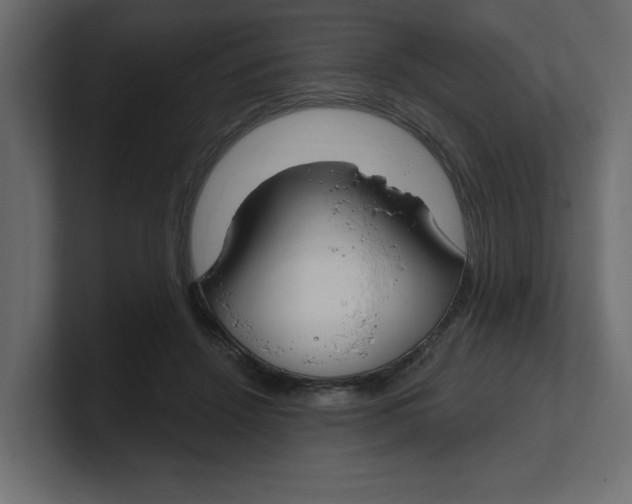 X0000100360456200806271427