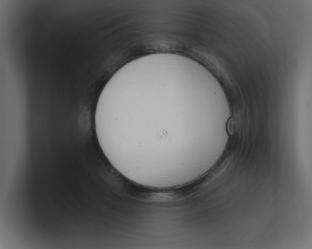 X0000100360457200806271427