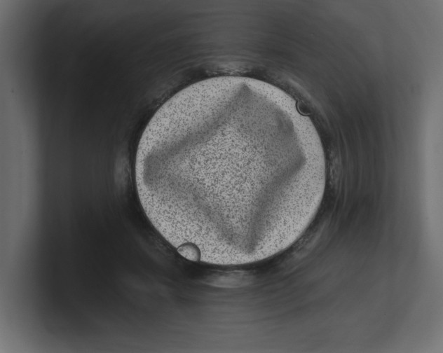 X0000100360459200806271427