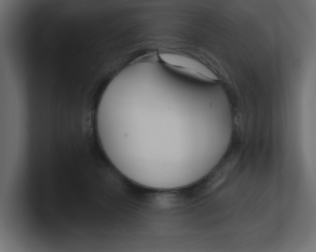 X0000100360462200806271427