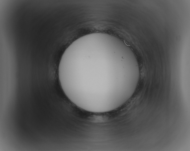 X0000100360464200806271427