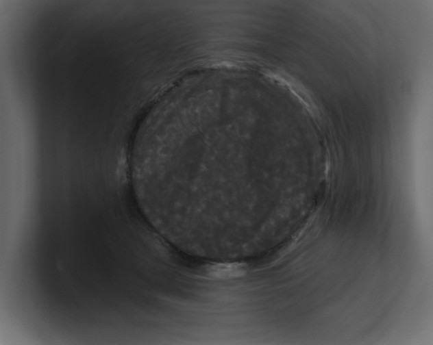 X0000100360465200806271427