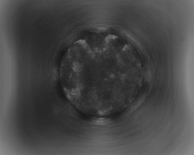 X0000100360467200806271427