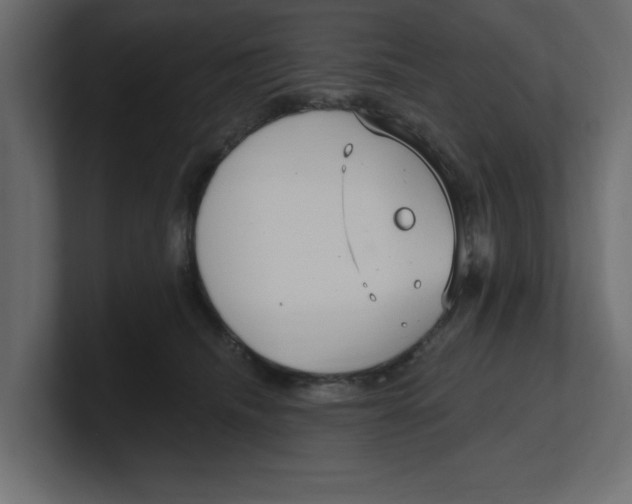 X0000100360468200806271427