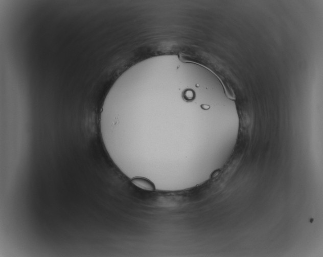 X0000100360470200806271427