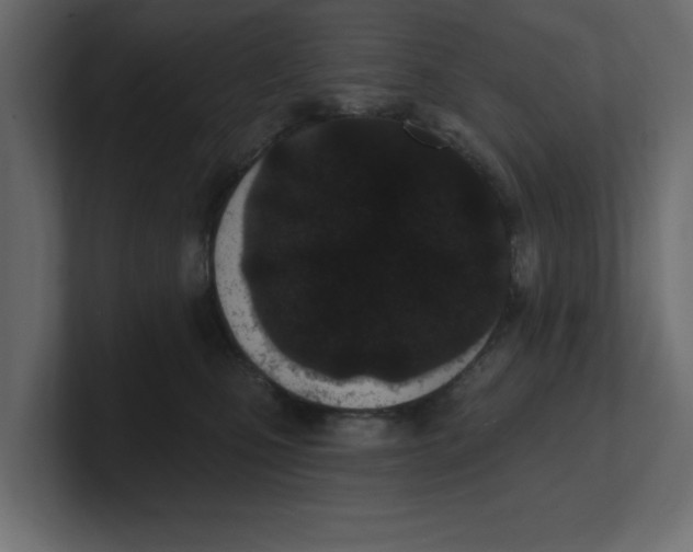 X0000100360471200806271427